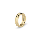 Edge Ring Polished Gold / Vertical